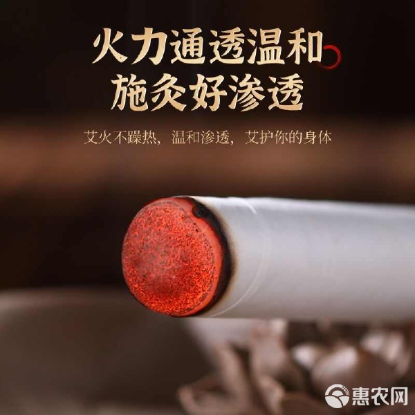 傳承古法，溫養新生 探秘艾條產業的中醫智慧與現代應用